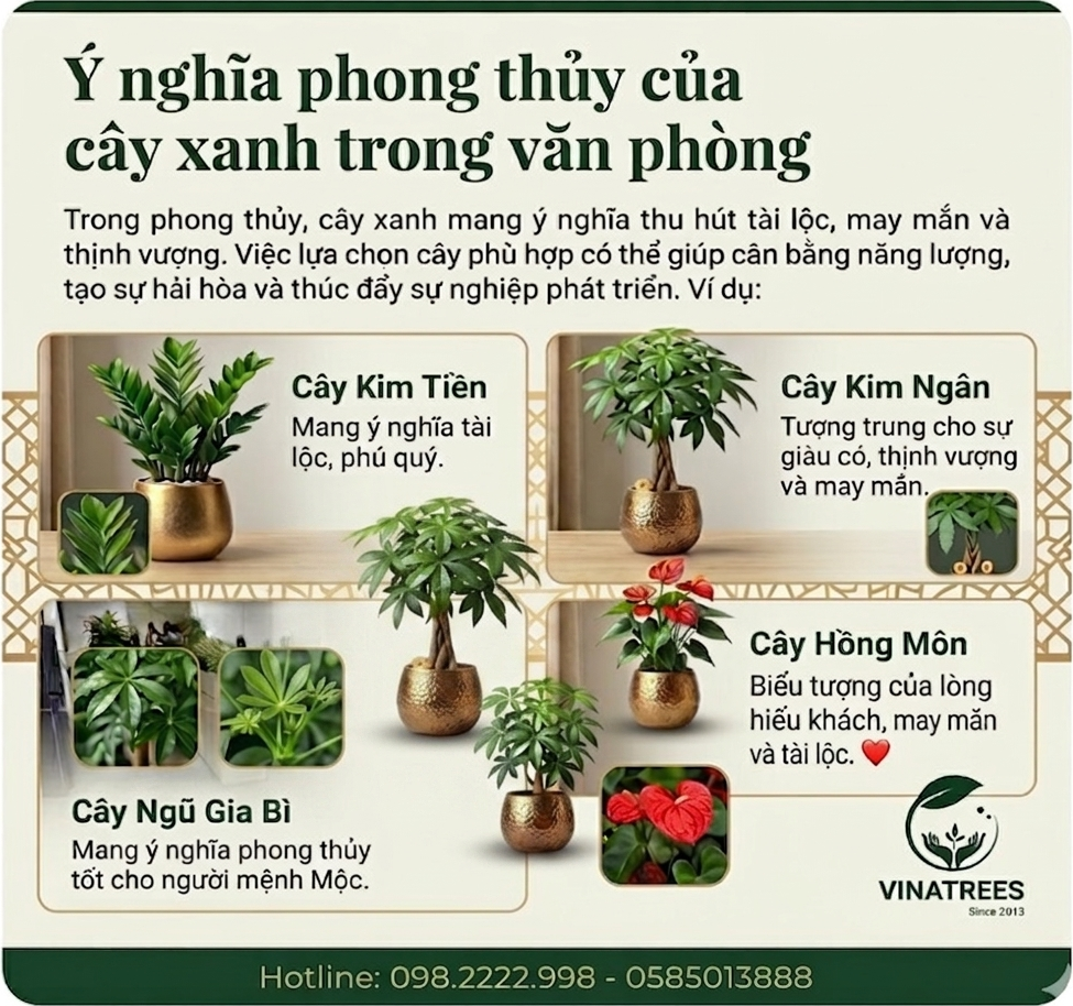 Ý nghĩa phong thủy của cây xanh trong văn phòng